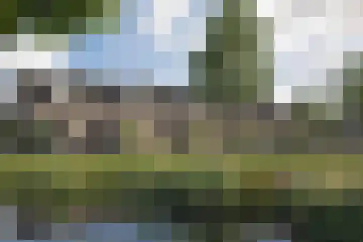Azalealaan 3 Boskoop thumbnail 4