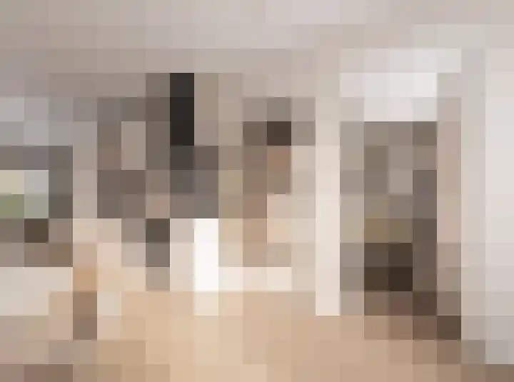Azalealaan 3 Boskoop thumbnail 9