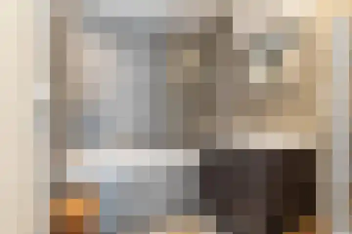Azaleastraat 11 Lent thumbnail 14