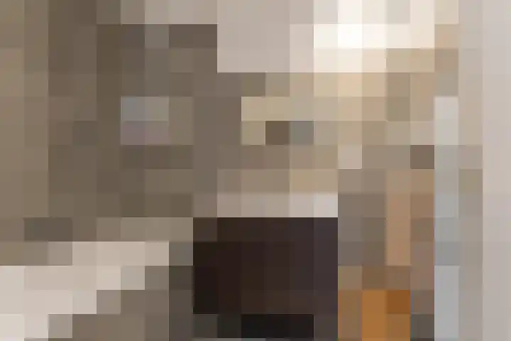 Azaleastraat 11 Lent thumbnail 15
