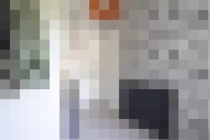 Azaleastraat 11 Lent thumbnail 20