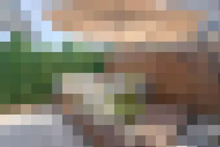 Azaleastraat 11 Lent thumbnail 27