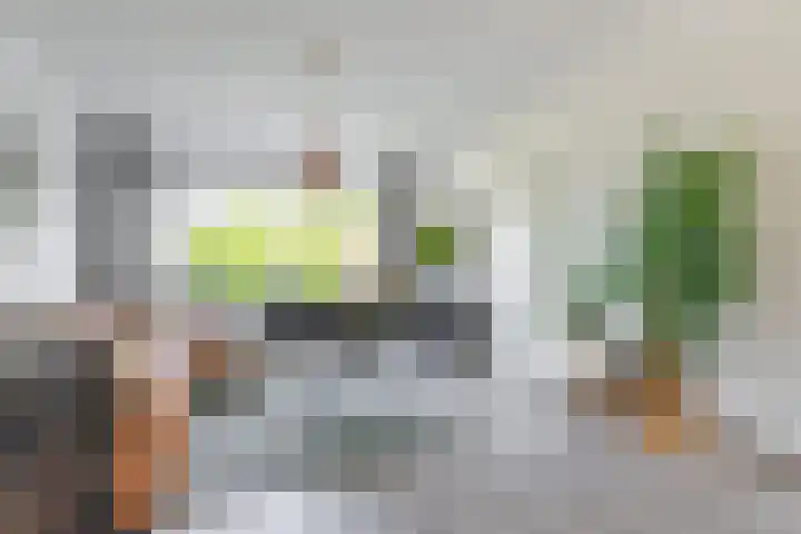 Azaleastraat 11 Lent thumbnail 4