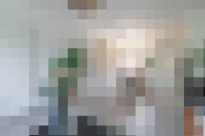 Azaleastraat 11 Lent thumbnail 5