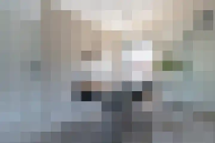 Azaleastraat 11 Lent thumbnail 6