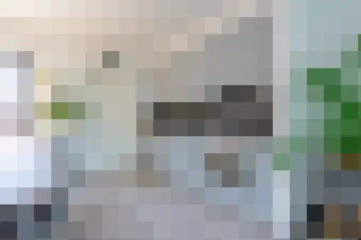 Azaleastraat 11 Lent thumbnail 8