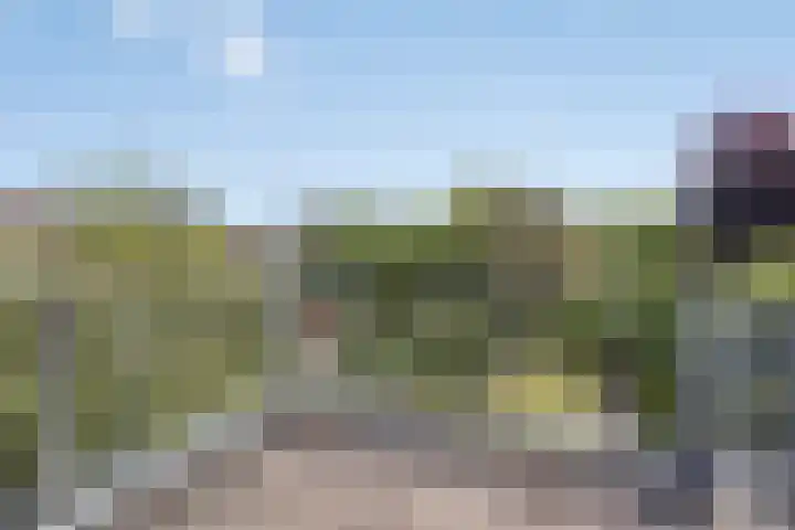 Azaleastraat 22 Heerde thumbnail 18