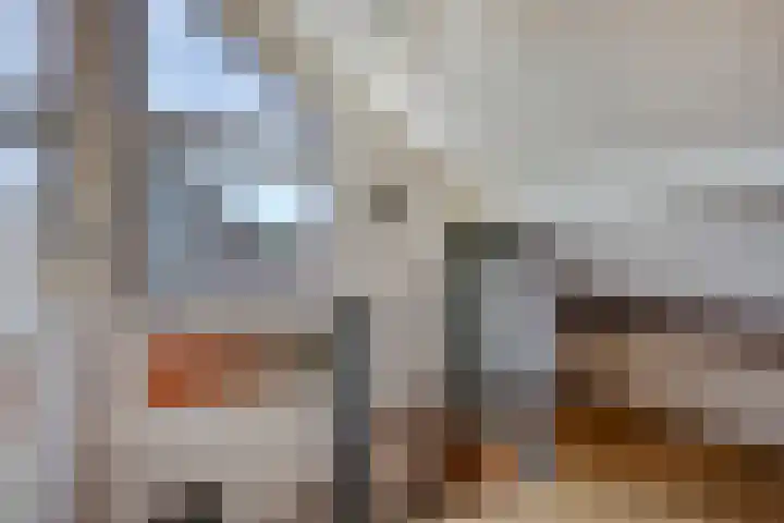 Azaleastraat 22 Heerde thumbnail 21