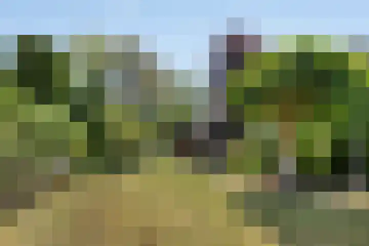 Azaleastraat 22 Heerde thumbnail 23