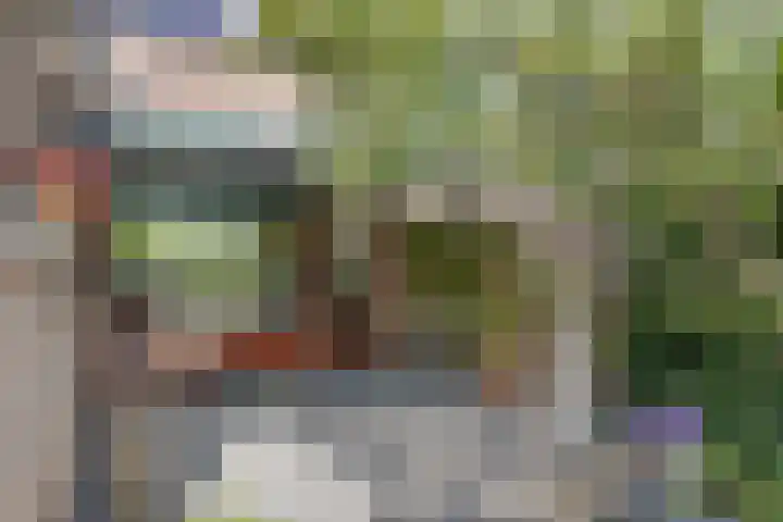 Azaleastraat 22 Heerde thumbnail 26