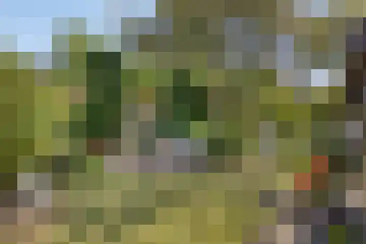 Azaleastraat 22 Heerde thumbnail 27