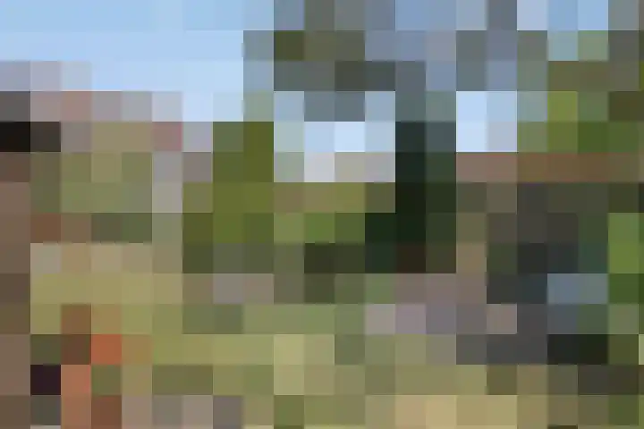Azaleastraat 22 Heerde thumbnail 28