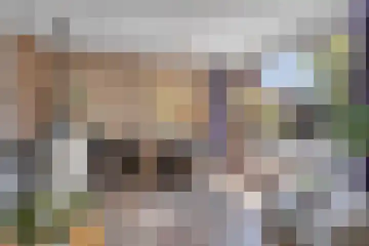Azaleastraat 22 Heerde thumbnail 5