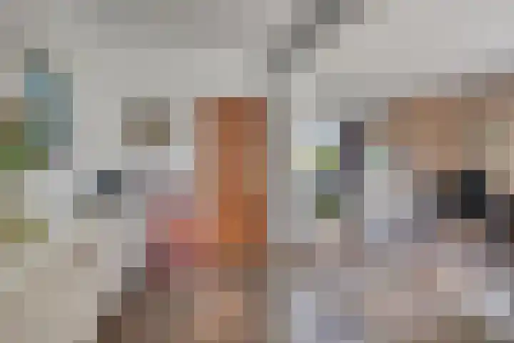 Azaleastraat 22 Heerde thumbnail 7