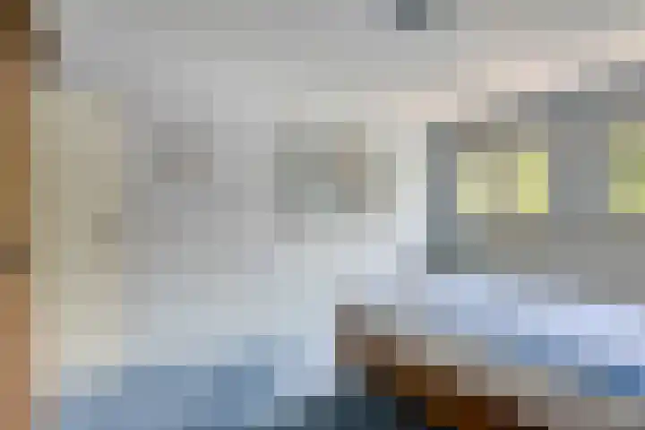 Azaleastraat 29 Venlo thumbnail 19