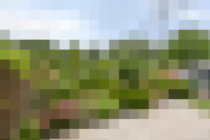 Azaleastraat 29 Venlo thumbnail 32