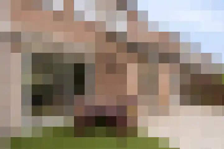 Azaleastraat 29 Venlo thumbnail 33