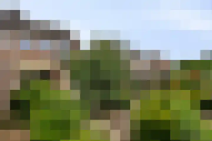 Azaleastraat 29 Venlo thumbnail 35