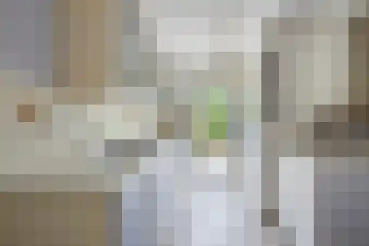 Azaleastraat 29 Venlo thumbnail 7