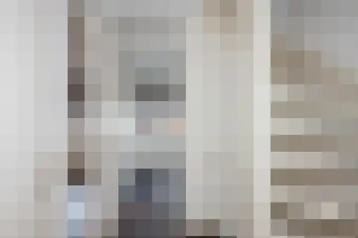Azelosestraat 13 b Borne thumbnail 11