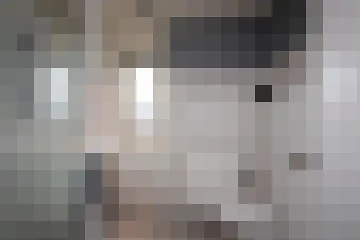 Azelosestraat 13 b Borne thumbnail 16