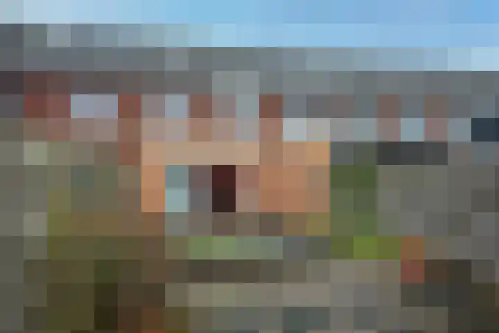 Azelosestraat 13 b Borne thumbnail 4