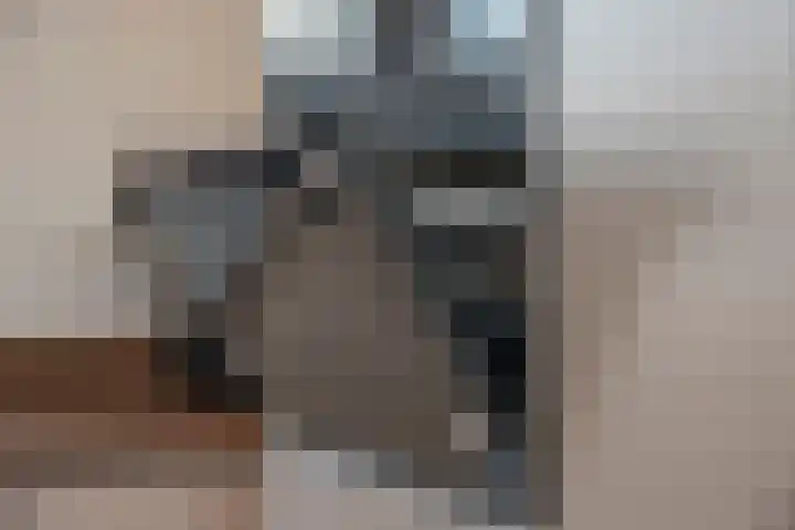 Azelosestraat 7 b Borne thumbnail 10
