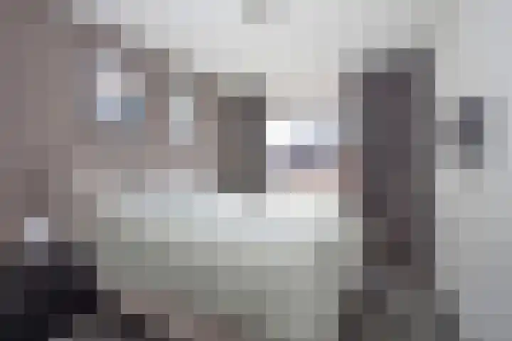 Azelosestraat 7 b Borne thumbnail 15