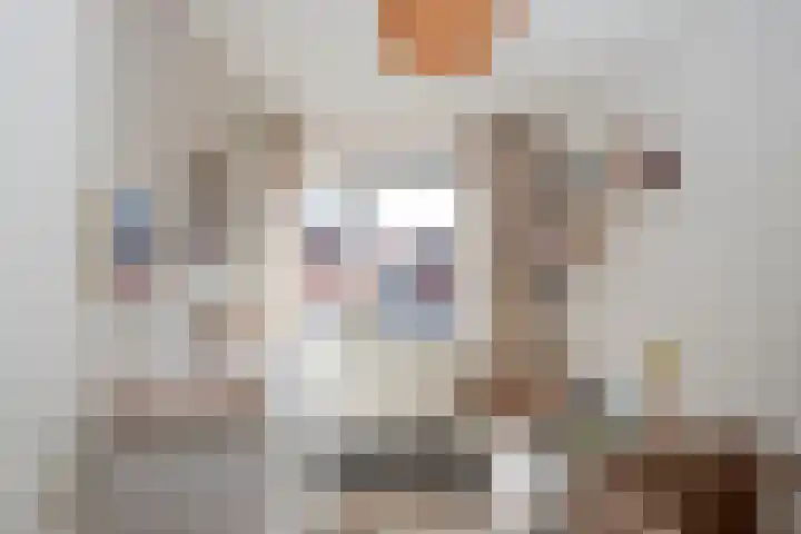 Azelosestraat 7 b Borne thumbnail 19