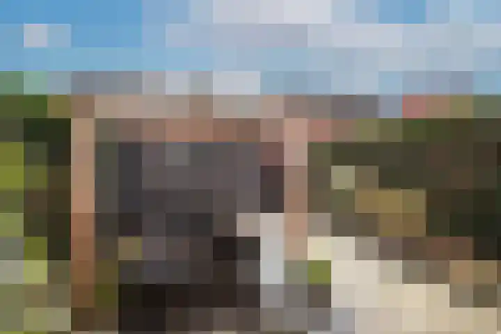 Azelosestraat 7 b Borne thumbnail 25