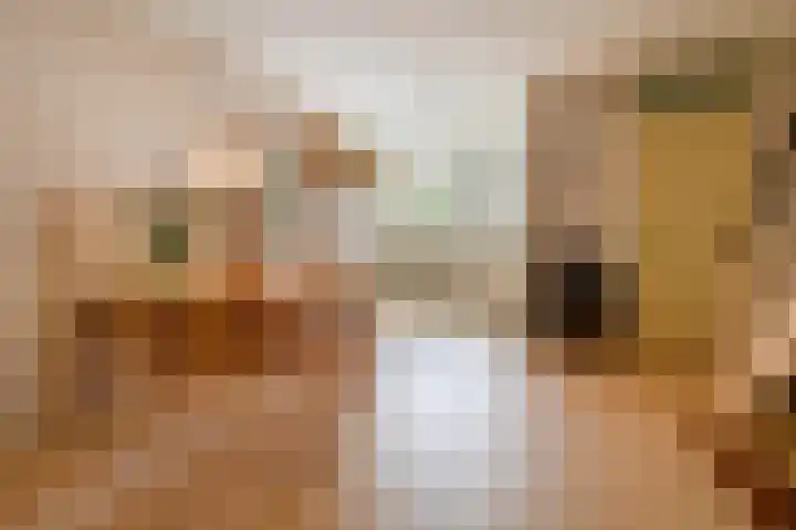 Azoren 47 Utrecht thumbnail 15