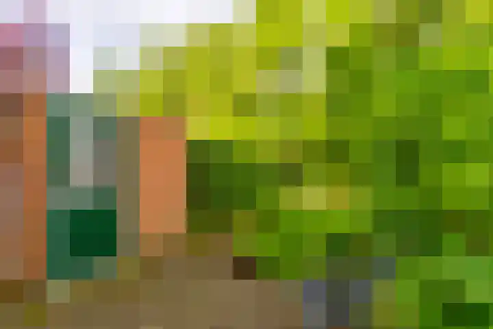 Azoren 47 Utrecht thumbnail 18