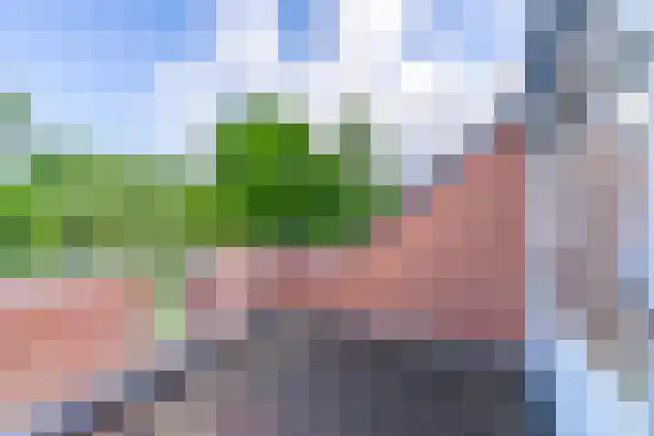 Azoren 47 Utrecht thumbnail 36