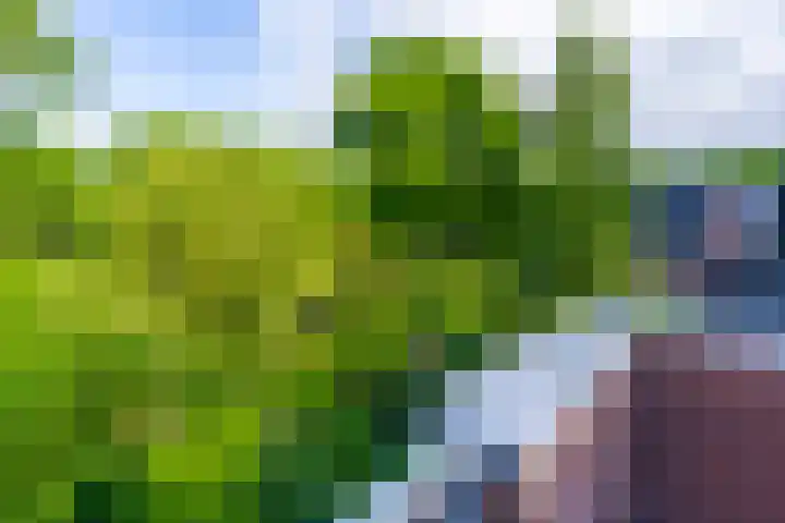 Azoren 47 Utrecht thumbnail 37