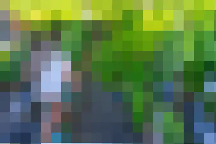Azoren 47 Utrecht thumbnail 38