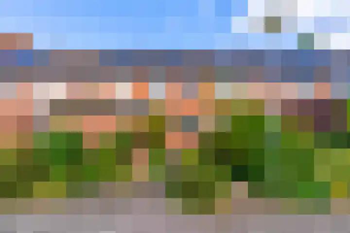 Azoren 47 Utrecht thumbnail 4