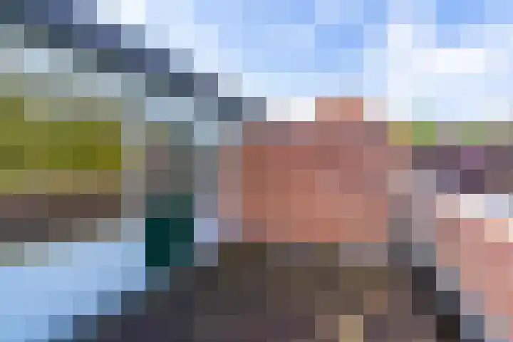 Azoren 47 Utrecht thumbnail 39