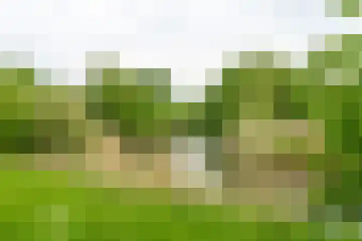 Azoren 47 Utrecht thumbnail 41