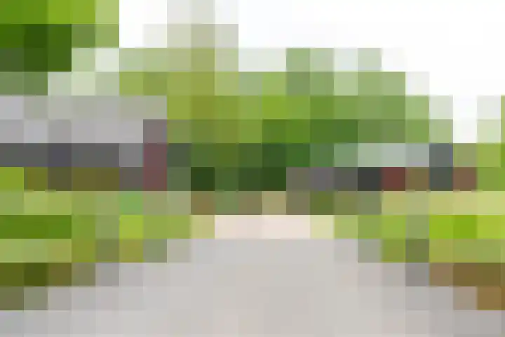 Azoren 47 Utrecht thumbnail 42