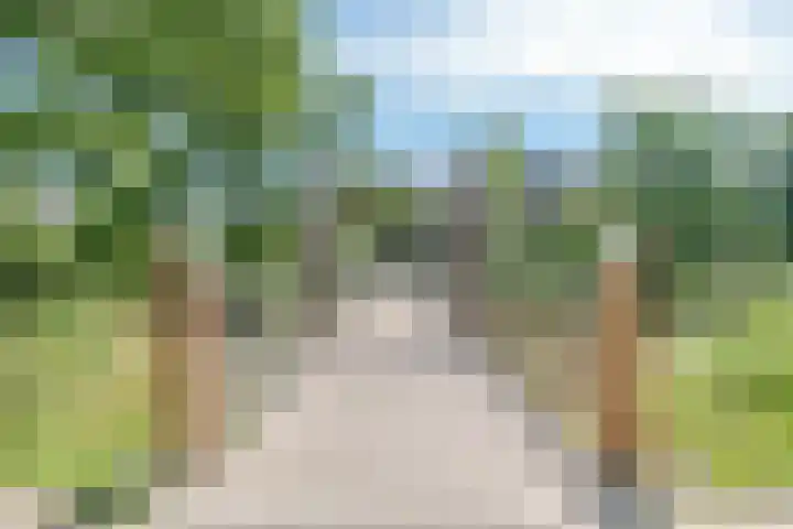 Azoren 47 Utrecht thumbnail 43