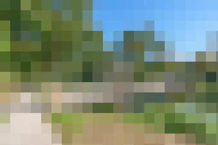 Azoren 47 Utrecht thumbnail 43