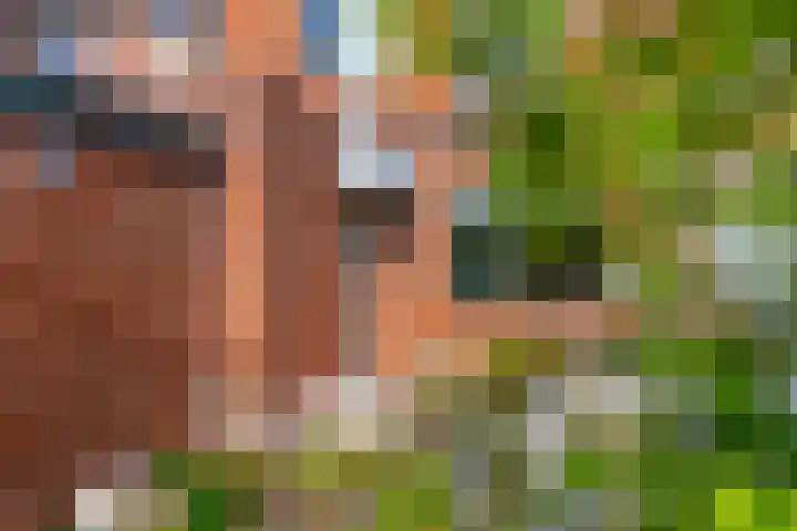Azoren 47 Utrecht thumbnail 5