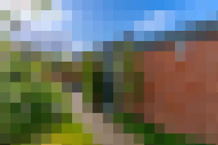 Azoren 47 Utrecht thumbnail 6