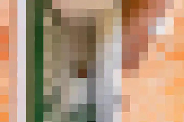 Azoren 47 Utrecht thumbnail 7