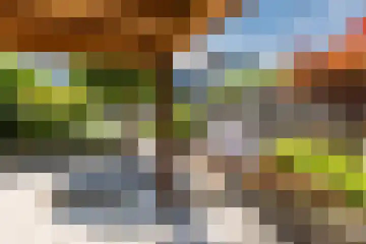 Azuriet 9 Leusden thumbnail 24