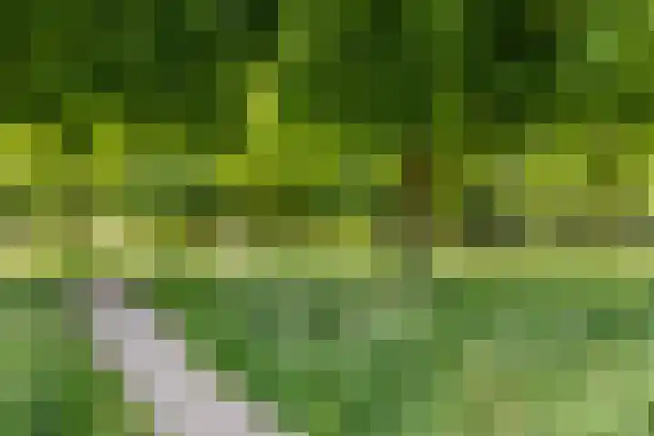 Azuriet 9 Leusden thumbnail 30