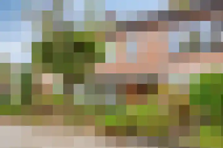 Azurietdijk 127 in Roosendaal