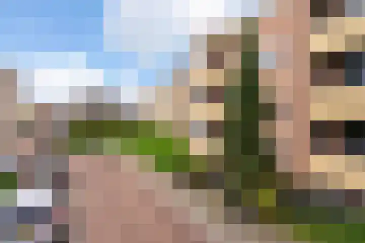 Team foto van B2 Makelaars & Taxateurs