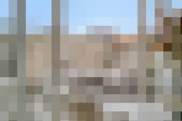 Baai 110 Etten-Leur thumbnail 12