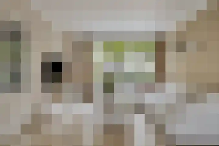 Baai 110 Etten-Leur thumbnail 8